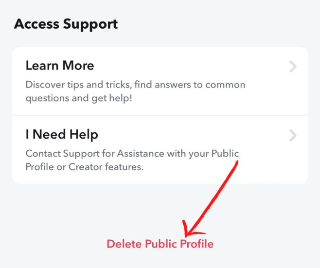 Delete public profile on snapchat