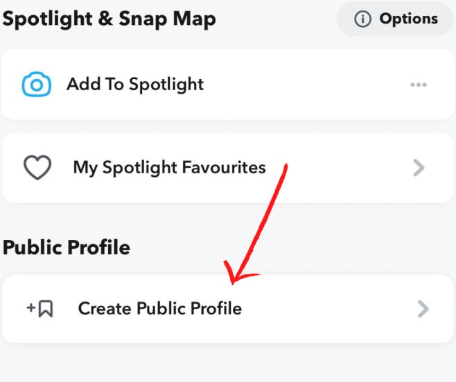 Snapchat create Public profile