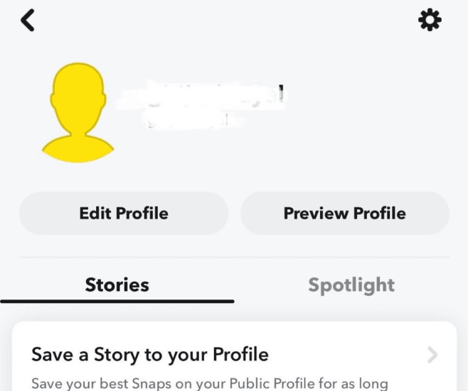 Snap public profile view